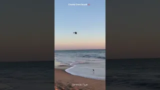 🇺🇸 Helicopter Flying over Crystal Cove Beach at sunset 🚁 🇺🇸 #planespotting #aviation #helicopter