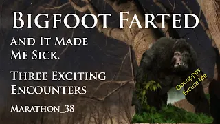 Bigfoot Farted and it Made Me Sick. A Louisiana Encounter. Marathon_38