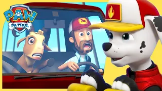 Rescues with Al, Liberty, Tracker and MORE | PAW Patrol | Cartoons for Kids