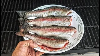 Rainbow Trout Catch & Cook! Grilled Goodness!