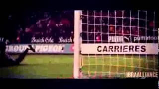 Edinson Cavani   El Matador   All Goals & Skills 2013 2014   PSG‬