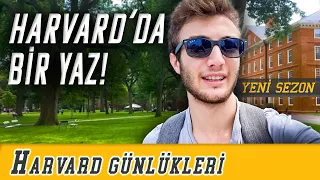 Harvard'da Bir Yaz - Harvard Günlükleri - Ali Kurmuş - S02B01