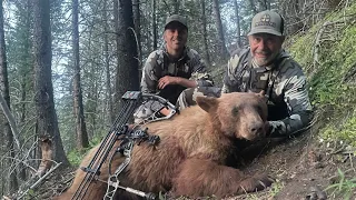 BEAUTIFUL BLONDE BEAR!  Utah LE bear hunt 2023 - Greg King’s archery boar