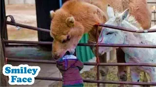 Funny Kids and Animals at the Zoo - Funny Kids Fails Vines II