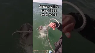 Great White Surprises Everyone: #shorts