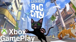 Little Kitty, Big City Gameplay!! Playing with the Kitty!!!