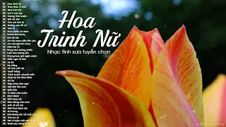 100 Bài Nhạc Xưa Tuyển Chọn Nghe 9999 Lần Vẫn Thấy Hay - Hoa Trinh Nữ, Thao Thức Vì Anh