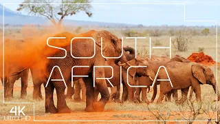 Wonderful South Africa in 4K | Explore wildlife and landscapes