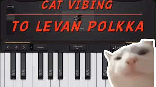 CAT VIBING TO LEVAN POLKKA ! ON PIANO || TUTORIAL || GarageBand ||