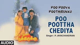 Poo Poottha Chediya Audio Song | Tamil Movie Poo Poova Poothirukku | Prabhu,Amala | T.Rajendar