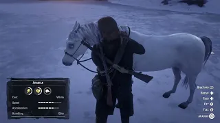 Red Dead Story Mode. Rare White Arabian Horse Location.