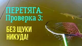 Рыбалка на ПЕРЕТЯГУ. Проверка 3: Без ЩУКИ никуда!