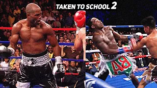 When Boxers Get Taken To School 2