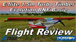 What is the best battery for the E-flite Turbo Timber Evolution 1.5m BNF Basic?