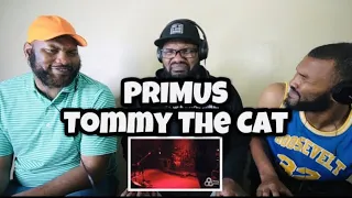 Primus - Tommy The Cat | REACTION