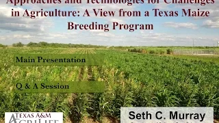 Plant Breeding Approaches and Technologies: A View from a Texas Maize Breeding Program