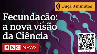 Como ocorre a fecundação? A nova visão da Ciência sobre a corrida dos espermatozoides ao óvulo