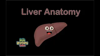 The Liver Anatomy Song