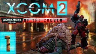 Getting Started | XCom 2 Warhammer of the Chosen Part 1