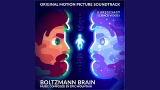 Boltzmann Brain