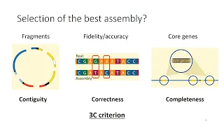 The 3C criterion to assess de novo genome assemblies