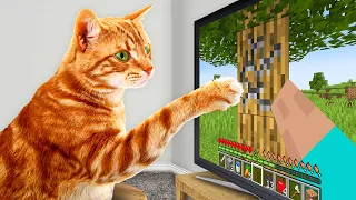 I Taught My Cats to Beat Minecraft in Real Life