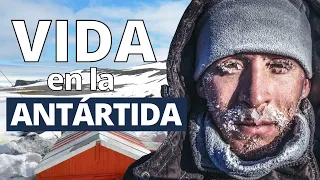 This is how they live in Antarctica: population, temperatures, bases, how to travel