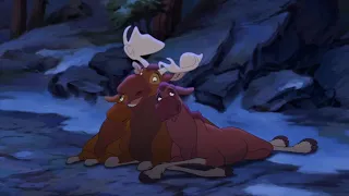 Brother Bear 2 - Rutt gets the ladies