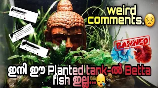 My LostWorld nano tank - The ultimate nature aquarium for beginners | Kunnamkulam version | Low cost