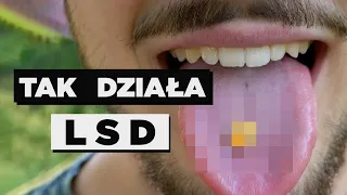 TO SIĘ STANIE, JAK WEŹMIESZ LSD! feat. Mestosław