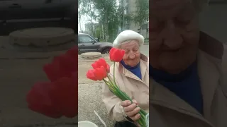 Купил у бабушки все цветы