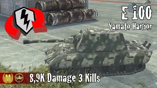 E 100  |  8,9K Damage 3 Kills  |  WoT Blitz Replays