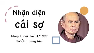 Nhận diện hạt giống sợ hãi - Pháp thoại Sư Ông Làng Mai 14/01/1999