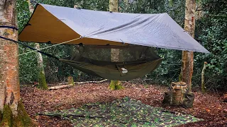 Solo Wild Hammock Camp With Steak And Veg And A Stagnant Ice Age Pond Dip