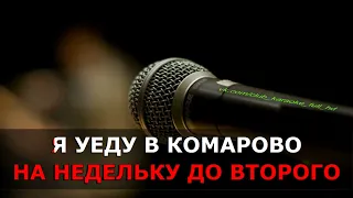 Игорь Скляр - Комарово караоке
