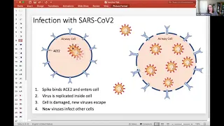 The Biology of COVID-19: The Virus and the Vaccines