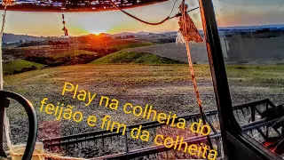 PLAY NA COLHEITA DO FEIJÃO PRETO COM A PLATAFORMA 17 PÉS !!!!