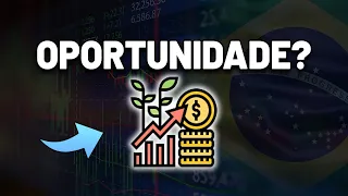 A BOLSA DE VALORES ESTÁ BARATA? AÇÕES BARATAS QUE PAGAM DIVIDENDOS: MELHORES AÇÕES PARA INVESTIR