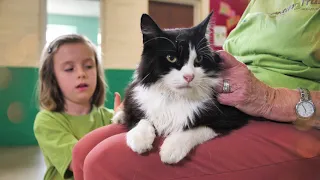 Kind Hands to All Animals (6 minute film)