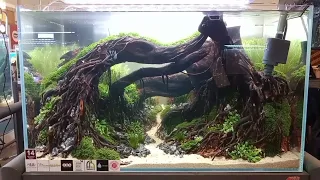 NUSATIC 2023, ONE CHAMPION AQUASCAPE CONTEST, PAMUKSA