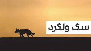 کتاب صوتی سگ ولگرد اثر صادق هدایت