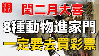 閏二月大喜！8種動物進家門，預示馬上就要發大財，一定要去買彩票！再不知道就晚了#大佬你好啊#佛說#佛學#