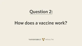 COVID-19 Vaccine 101: How Does A Vaccine Work?