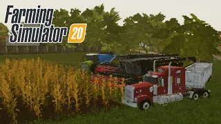 Уборка кукурузы с 8 поля/Farming Simulator 20