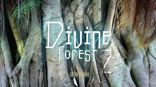 Roots, Connection, Womb of Mother Earth - Shaman BASS Drum & UDU Drum - Divine Forest