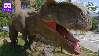 3D 180VR 4K Dangerous Tyrannosaurus Rex ;  T-Rex is King of the dinosaurs Jurassic World