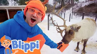 Blippi Plays with Reindeer in the Snow! | Learn Christmas With Blippi | Educational Videos for Kids