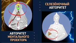 СЕЛЕЗЁНОЧНЫЙ АВТОРИТЕТ И АВТОРИТЕТ МЕНТАЛЬНОГО ПРОЕКТОРА / МАТЕРИАЛ ИЗ КУРСА "МАЙА"