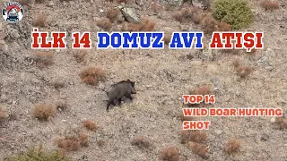 Top 14 Wild Boar Hunting Shot | İlk 14 Domuz Avı Atışı Vlog#6