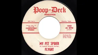 Flyght - My Pet Spider (1970)